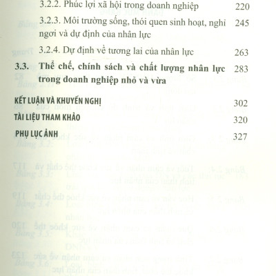 Nhân Tố Xã Hội Ảnh Hưởng Đến Chất Lượng Nhân Lực Và Hướng Giải Pháp Phát Triển Bền Vững Doanh Nghiệp Nhỏ Và Vừa Ở Việt Nam Hiện Nay