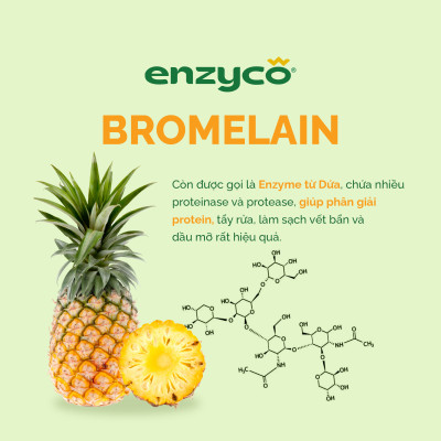 Combo Bếp Siêu Sạch ENZYCO - Nước Ngâm Rau Củ 1L, Nước Rửa Bát 850ml Và Nước Lau Đa Năng 475ml