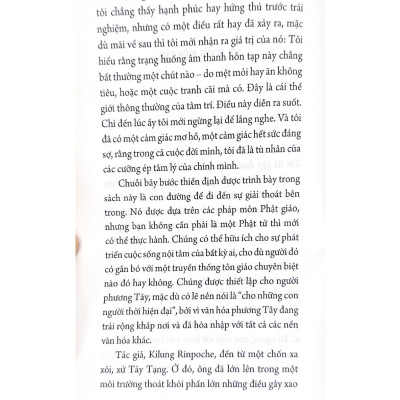 Tâm Thư Thái - Dza Kilung Rinpoche - Vanlangbooks