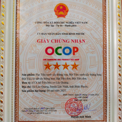 Hạt tiêu xanh sấy thăng hoa