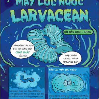 Siêu Nhí Khám Phá Đại Dương