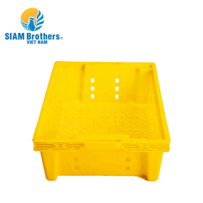 Khay nhựa đựng trái cây siêu bền Siam Brothers - Vàng