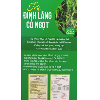 Trà Đinh lăng Cỏ ngọt Trường Ái (50 túi lọc) - Giúp ăn ngon, ngủ ngon, kéo dài tuổi thọ