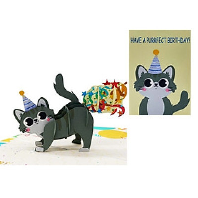 Thiệp 3D Pop Up Mèo Đội Nón Sinh Nhật – Thiệp Chúc Mừng Sinh Nhật Dễ Thương, Độc Đáo, B27