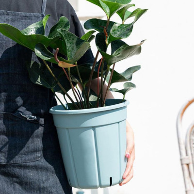 Chậu trồng cây decor MONROVIA kèm đĩa lót, trồng hoa, trang trí trong nhà, ngoài trời, ban công, tiêu chuẩn châu Âu