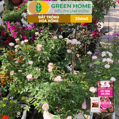 Đất Trồng Hoa Hồng Greenhome, Sfarm, Túi 4Kg, Hữu Cơ, Trộn Sẵn, Tiện Lợi, Đầy Đủ Dinh Dưỡng