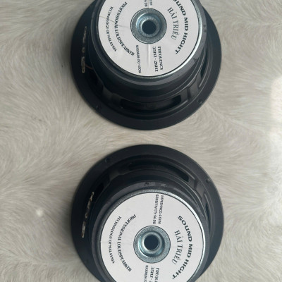 CỦ LOA BASS RỜI 16 HÀNG CHÍNH HÃNG HẢI TRIỀU COIL 38 TỪ 100 GÂN VẢI MÀN VÀNG (GIÁ 1 CÁI)