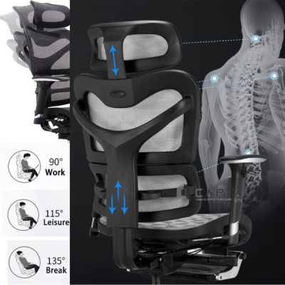 Ghế Giám đốc Ergonomics cao cấp nhập khẩu CM4503-M Nội thất Capta