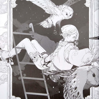 Honojiro Towoji Illustration Works (Japanese Edition)