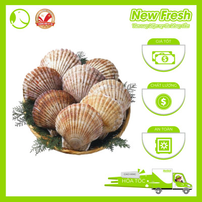 [GIAO NHANH HCM] Sò Điệp Nhật Nguyên Con Đông Lạnh - Túi 1Kg