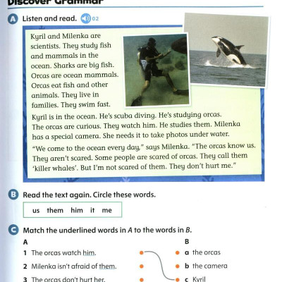 Oxford Discover 2nd Edition: Level 2: Grammar Book