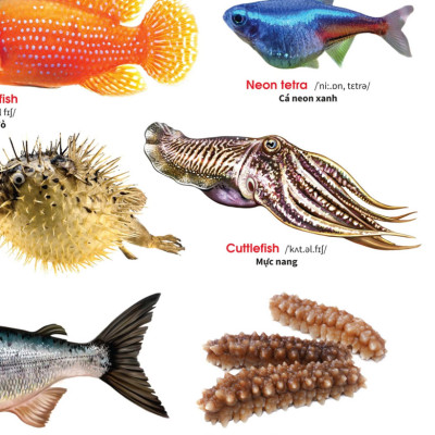 Sách - My First Book Of Animals - Động vật dưới nước (VT)