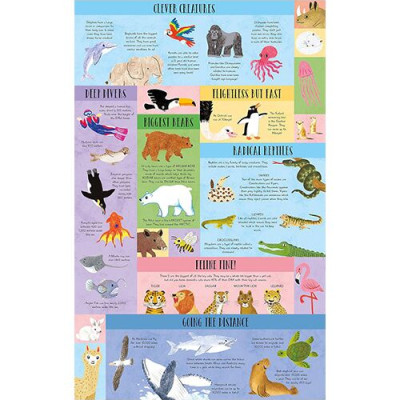 Laege Question and Answer Flap Book - Animals by  Rachel Moss