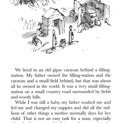 Danny the Champion of the World