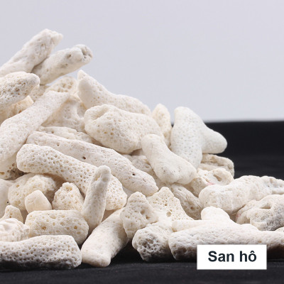 2KG San Hô Vụn vật liệu lọc hồ cá, trang trí bể cá, hồ thủy sinh cao cấp