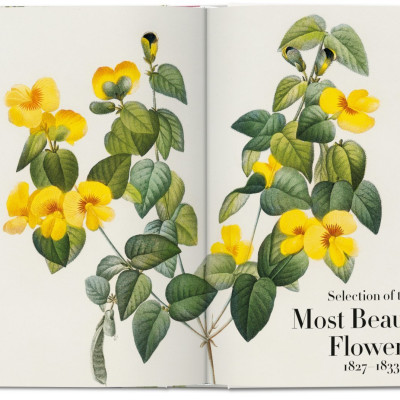 Artbook - Sách Tiếng Anh - Book Of Flowers