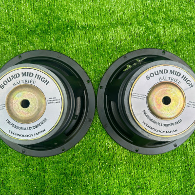 CỦ LOA BASS RỜI 20 TỪ LỚN HÀNG CHÍNH HÃNG HẢI TRIỀU COIL 38 TỪ 126 MÀN VÀNG (GIÁ 1 CÁI)