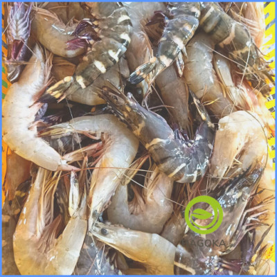 [Chỉ giao HCM] 500gr TÔM THẺ BIỂN (loại 15 con trở lên)