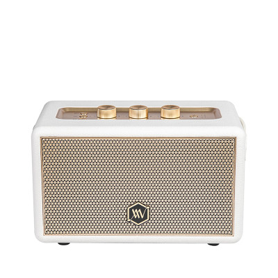 Loa Bluetooth Alpha Works W88 - Hàng Chính Hãng