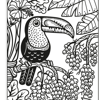 Birds Magic Painting Book