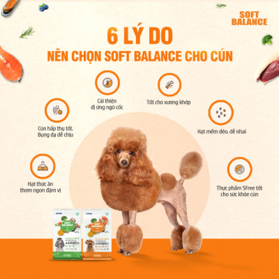 [1.2KG ] - Thức ăn hạt mềm cho chó mọi lứa tuổi vị cá hồi  SOFT BALANCE