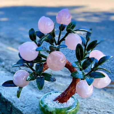 (MẪU MỚI ) Cây đào đá hồng  thạch anh 9 quả - cao 30cm & 40cm