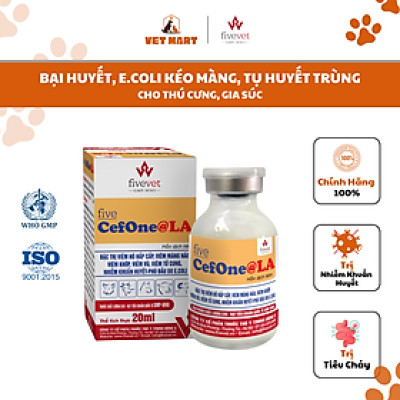 Five-Cef.One@LA - Viêm hô hấp cấp, viêm khớp, viêm vú, viêm tử cung, nhiễm khuẩn huyết