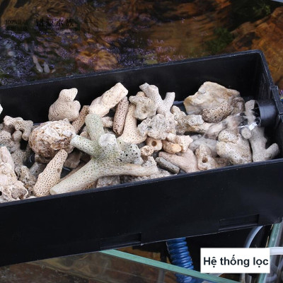 San Hô Vụn túi 1KG + Phân nền thủy sinh SMEKONG II 2KG giàu dinh dưỡng, trang trí bể cá, hồ cá