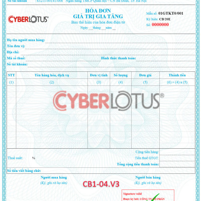 COMBO USB Chữ ký số Newca gói 3 năm + Hóa đơn điện tử Cyberbill 300 số