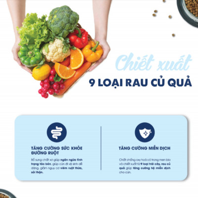 [1KG ] - Thức ăn hạt cho chó thơm ngon, bổ dưỡng TODAY