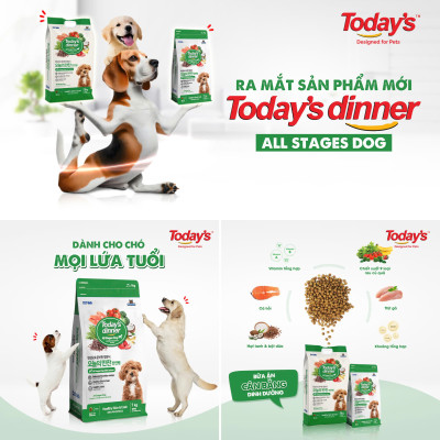 [ 1KG ] Thức ăn hạt cho chó mọi lứa tuổi TODAY