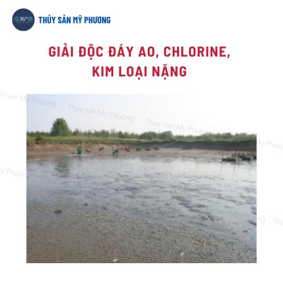 Hạ phèn hấp thụ kim loại nặng clo bổ sung khoáng giải độc đáy ao Pusenvi chống sốc thả giống sạch mang tôm thẻ cá lươn ế