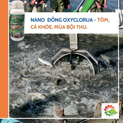Nano đồng xử lý nước cho ao nuôi và bể cá cảnh . Chai  500ml nano đồng oxyclorua Haki chuyên diệt nấm, diệt rêu, cắt tảo, xử lý nước