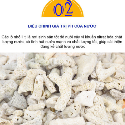 San Hô Vụn túi 1KG  + 1 túi lưới đựng vật liệu lọc cho bể cá