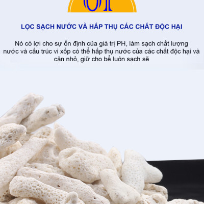 San Hô Vụn túi 1KG + Phân nền thủy sinh SMEKONG II 2KG giàu dinh dưỡng, trang trí bể cá, hồ cá