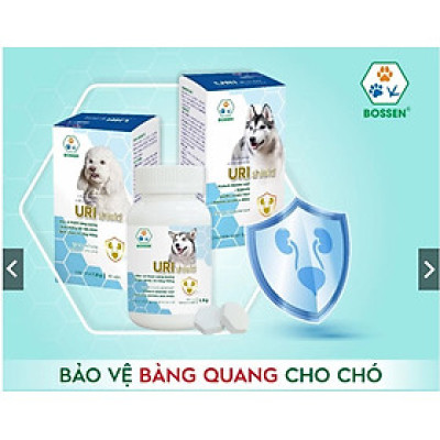 BOSSEN - URI Shield (dogs) Hỗ Trợ Bảo Vệ Bàng Quang cho Chó, giúp Tiết Niệu khỏe - Hộp 30 viên