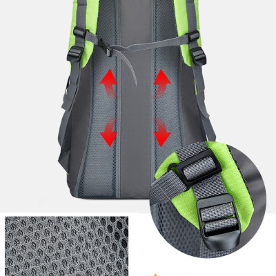 Balo du lịch, balo phượt, balo leo núi thể thao phong cách mới - BEE GEE BLLN1031