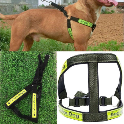 Bộ Dây Dắt Chó Kèm Yếm Ngực Phản Quang 3 Size