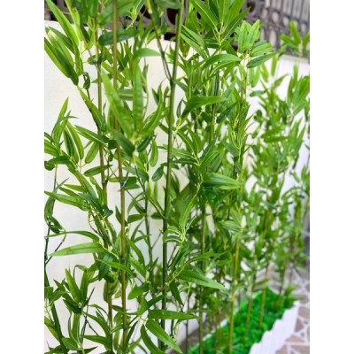 Trúc giả trang trí Set 20 cây trúc xịn nhiều lá kèm 2,5m chậu hàng rào - Cây giả, hoa lụa Decor trang trí nhà cửa