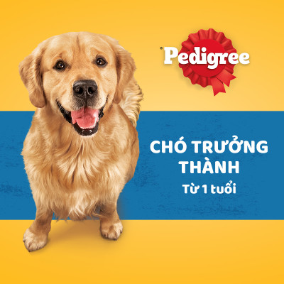 Thức Ăn Cho Chó Trưởng Thành Pedigree Adult 1+ Years Vị Gà, Rau Củ 1.5kg/Túi