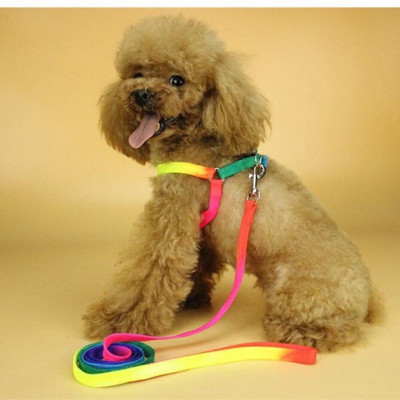Dây dẫn chó mèo ( Có yếm ) loai 7 sắc Dành cho mấy bé hay Nhoi