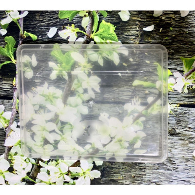 Khay cơm inox 5 ngăn sâu lớn SUS304 (33,5 x 23 x 4,5cm)