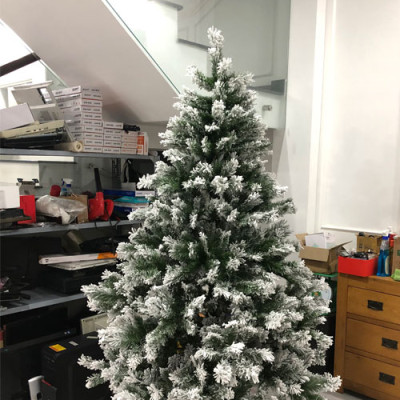 Cây thông noel phủ tuyết cao 1m8 - Cây loại 3 lá dày tán rộng