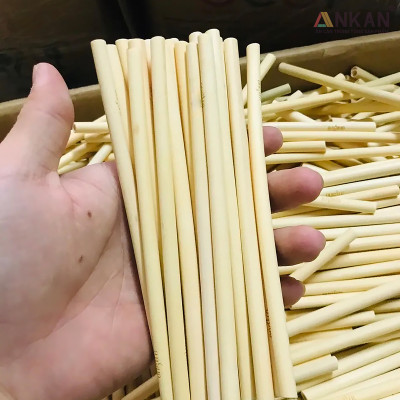 Combo 50 ống hút tre tái sử dụng dùng cho ly cao nước ép sinh tố