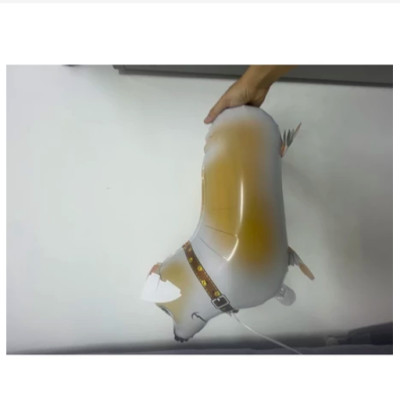 Bóng bay thú Lợn hot chạy lon ton cực đáng yêu