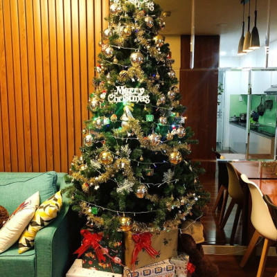 Cây thông noel màu xanh cao 150cm - Tán dày và đẹp, cây thông chắc chắn và dể tháo lắp