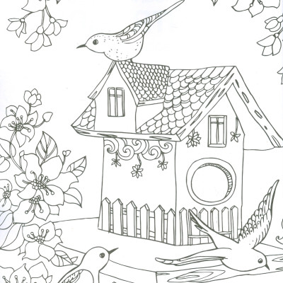 Countryside - Adults Colouring Book (Sách tô màu dành cho người lớn: Nông Thôn)
