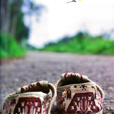 Nếm Vị An Nhiên: Món An Lành Với Tất Cả Yêu Thương