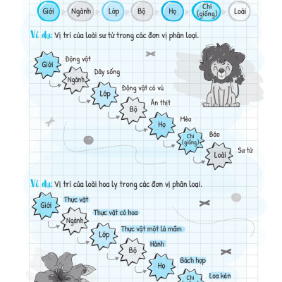 Sổ Tay Kiến Thức - Phương Pháp - Dạng Bài Khoa Học Tự Nhiên Lý - Hóa - Sinh - MEGA