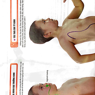 Sách - Đồ giải kinh lạc huyệt vị - Trẻ em